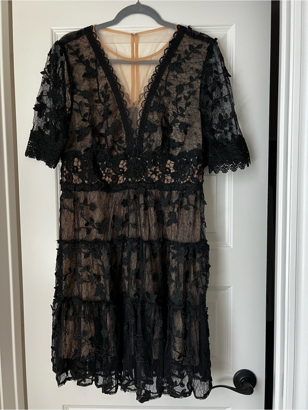 Adrianna Papell Lace Dress with Nude Lining